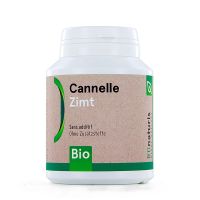 Bionaturis Zimt Kapseln Bio 250mg - 180 Stk.