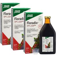 Floradix Eisen + Vitamine Eisenergänzung Saft - Trio-Pack 3x700ml