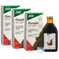 Floradix Eisen + Vitamine Eisenergänzung Saft - 3x500ml