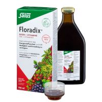 Floradix Eisen + Vitamine Eisenergänzung Saft 700ml