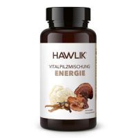 Hawlik Vitalpilzmischung Energie  - 90 Kaps.