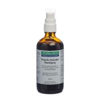 Herbamed Propolis-Holunder Mundspray - 100 ml