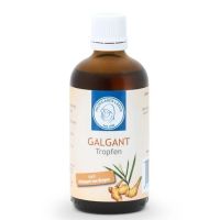 Hildegard von Bingen Galgant Tropfen - 100ml