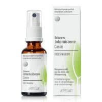 Phytomed Knospenextrakt Schwarze Johannisbeere - 30ml