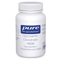 Pure Glucosamin Chondroitin MSM Kapseln - 60 Stk.